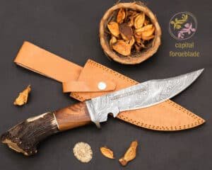 Custom Gift Knife, Stag Horn Hunting Knife