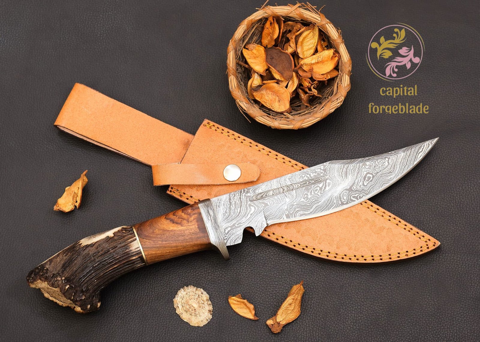 Custom Gift Knife, Stag Horn Hunting Knife