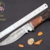 Damascus Steel Hunting Knife with Stag Horn Handle