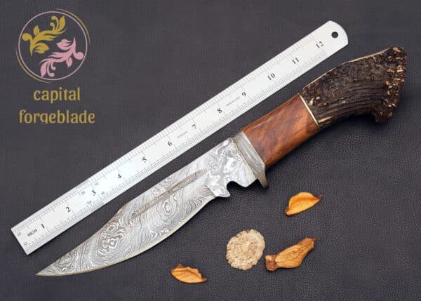 Damascus Steel Hunting Knife with Stag Horn Handle