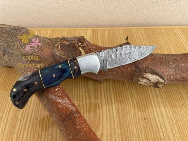 Folding Knife with Rosewood Handle