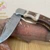 Folding Knife with Stag Horn and Wood Handle