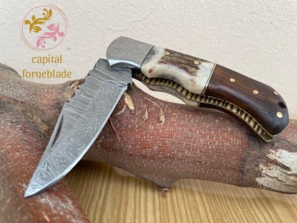 Folding Knife with Stag Horn and Wood Handle