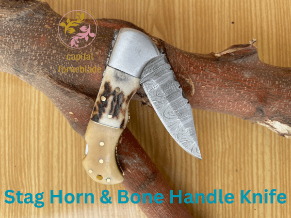 Stag Horn & Bone Handle Knife