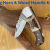 Stag Horn & Wood Handle Knife