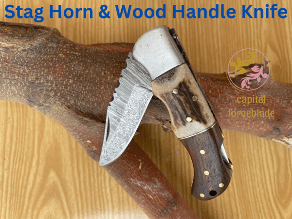 Stag Horn & Wood Handle Knife