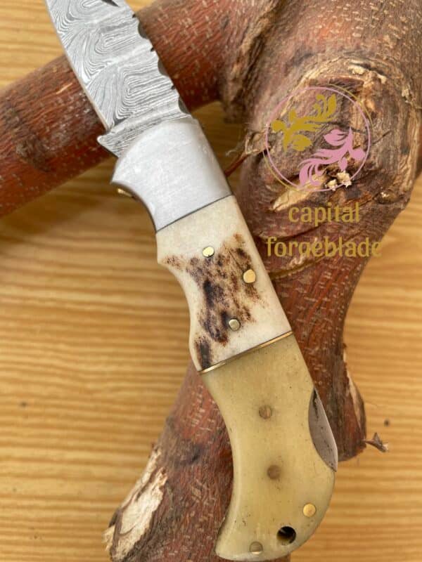 Stag Horn and Bone Handle Folding Knife